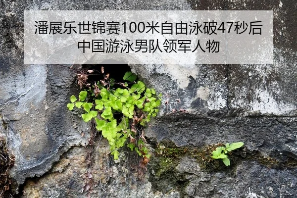 潘展乐世锦赛100米自由泳破47秒后中国游泳男队领军人物